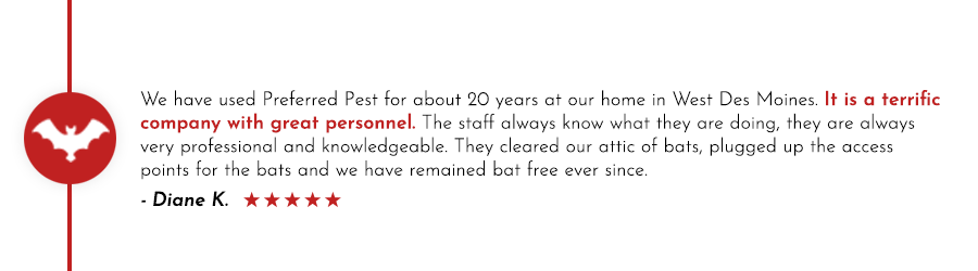 'Preferred Pest is a terrific company with great personnel.' Preferred Pest Control bat removal services